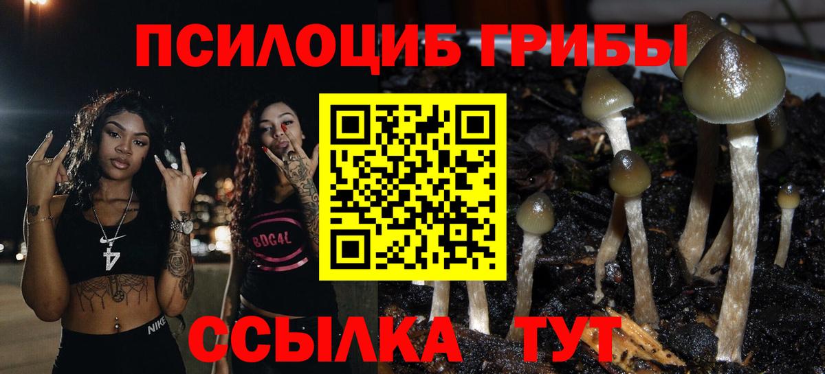 Псилоцибиновые грибы прущие грибы  купить   Костомукша  Вход с VPN 